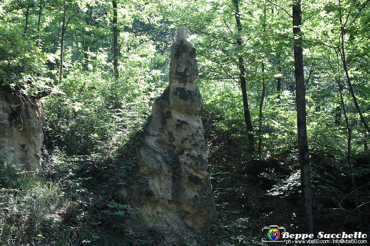 VBS_8918 - I Ciciu del Villar. Villar San Costanzo. Val Maira (Cuneo).jpg